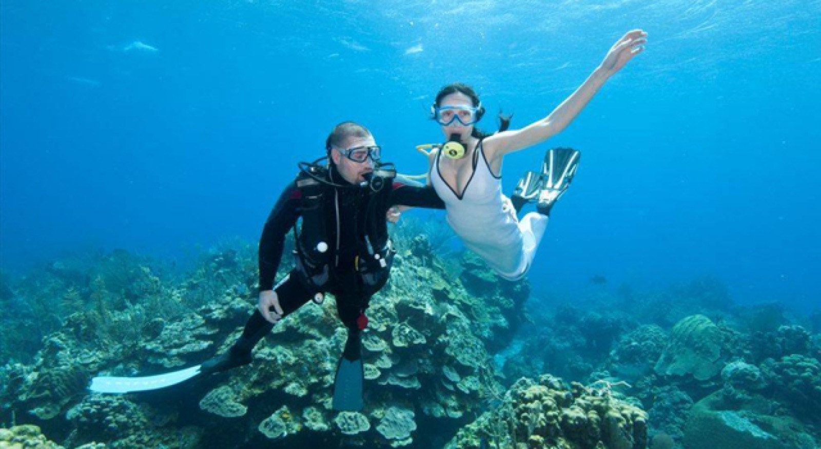 Divers over a coral reef